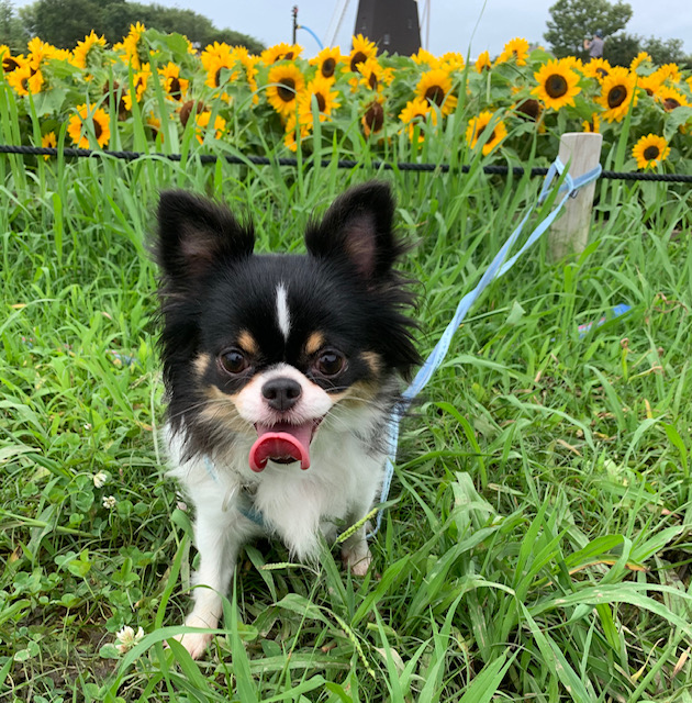 夕七(ゆな) 200809