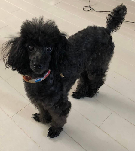 海（うみ）201123