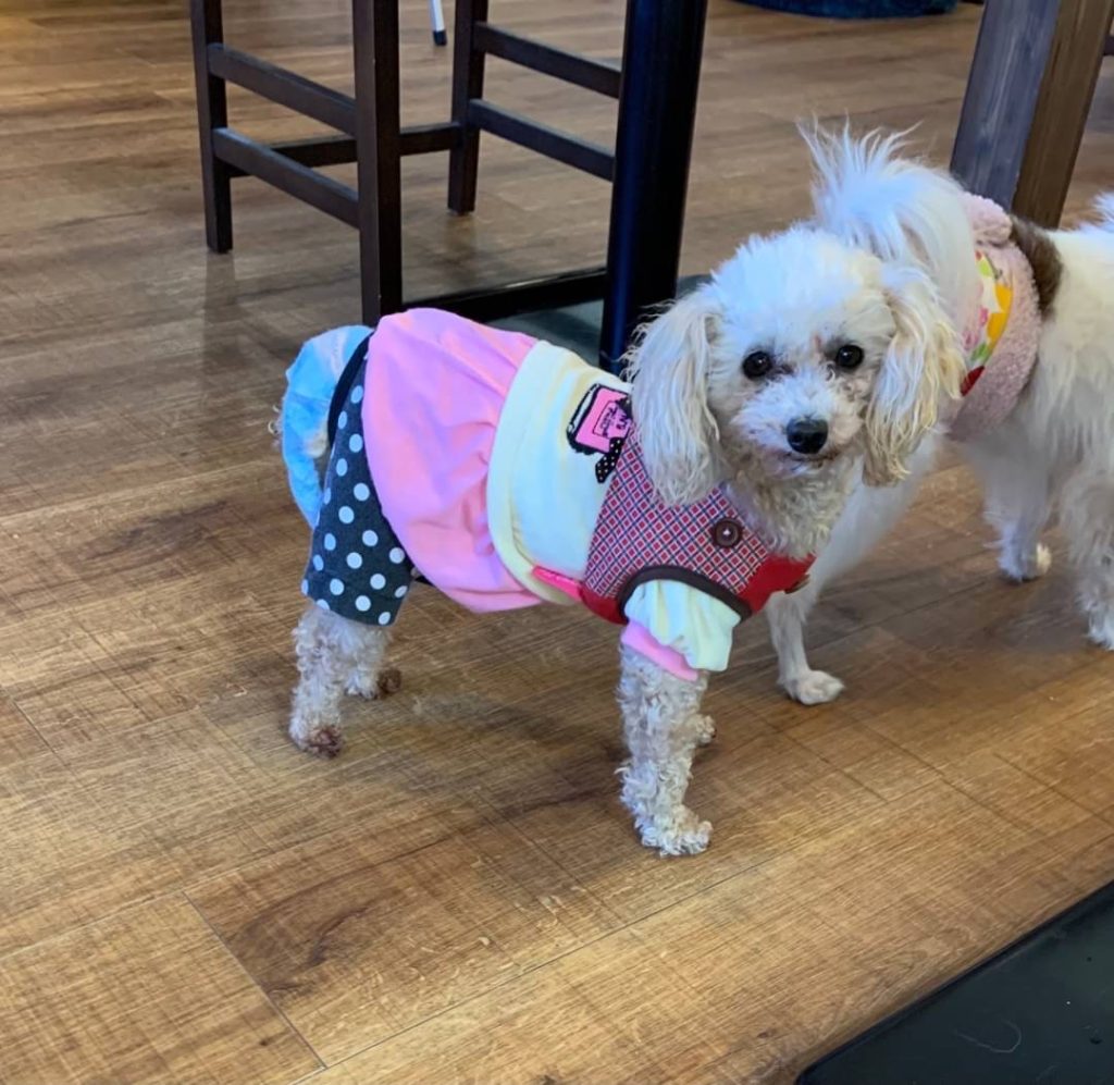 まこちゃん 210127