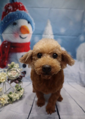 めぇちゃん 210317